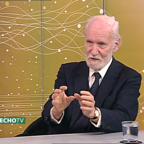 Dr. Pap Gábor: Művészettörténész professzor